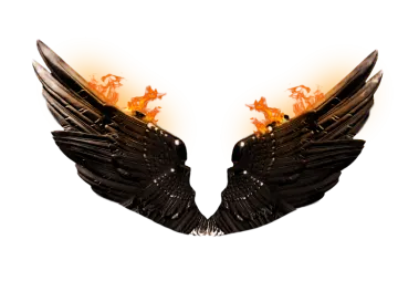a pair of black wings with flames on them