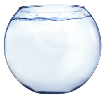 a glass fish bowl filled with water