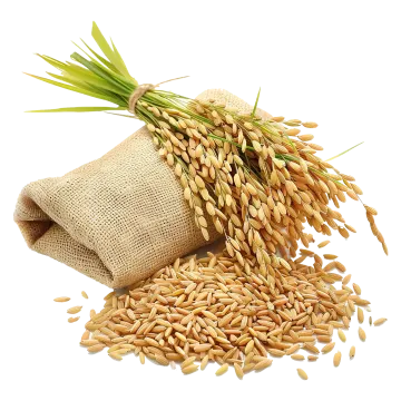 a bunch of wheat