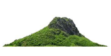 an image of a mountain with trees on it