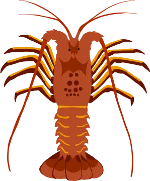 a cartoon lobster with claws on its back