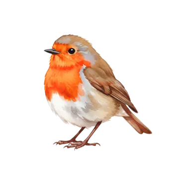 a painting of a bird on a white background