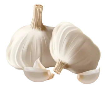 two white onions on a white background