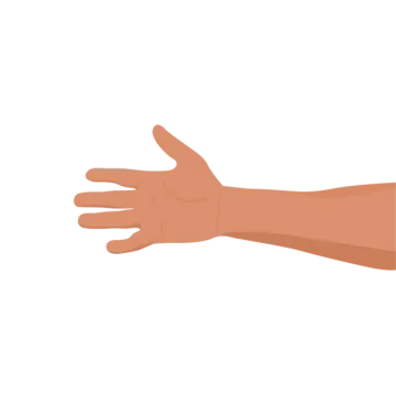 a person's hand is shown in this illustration