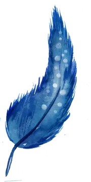 a blue feather on a white background