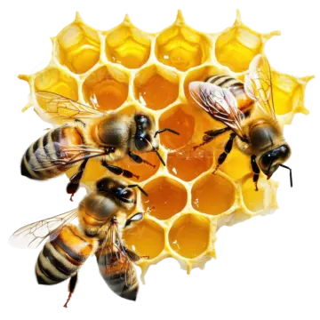 a group of bees on a honeycomb
