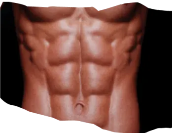 a man's torso with no shirt