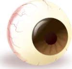 a close up of an eye