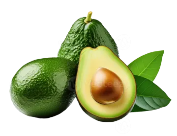 avocas with leaves on a white background