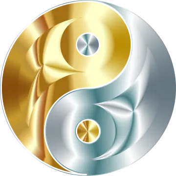 a gold and silver yin symbol
