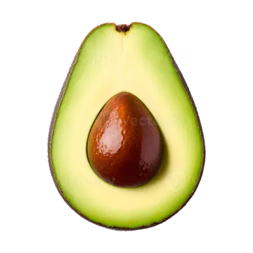 an avoca on a white background