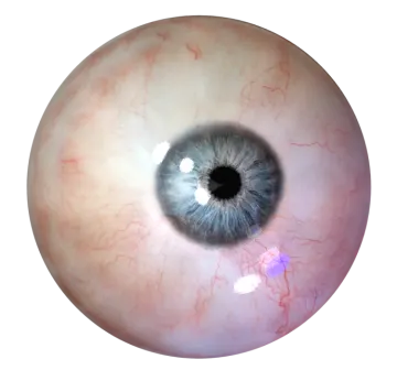 a close up view of an eye
