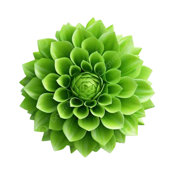 a green flower on a white background