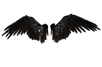 two black wings on a white background