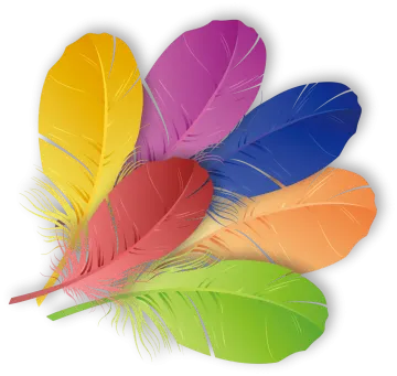 three colorful feathers on a white background
