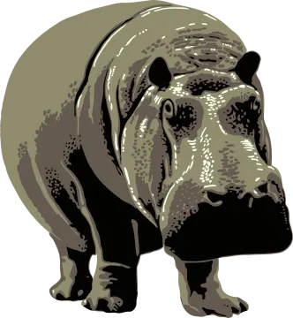 a hippo is standing on the ground