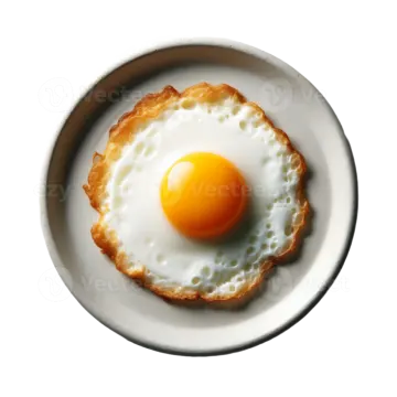 a fried egg on a white plate