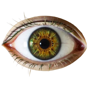 a close up view of a human eye