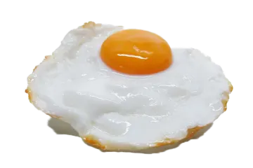 a fried egg on top of a white plate
