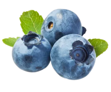 three blueberries on a white background