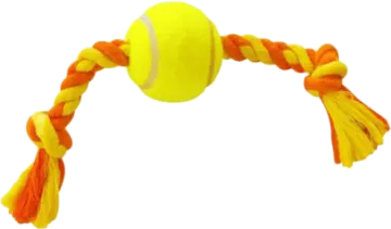 a tennis ball is tied to a rope