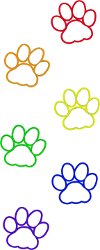a set of four different colored paws