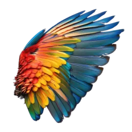a colorful parrot's wing