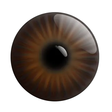 an image of a brown eye