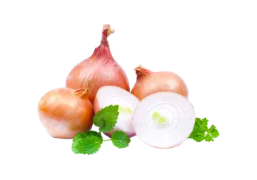 a bunch of onions and garlic on a white background