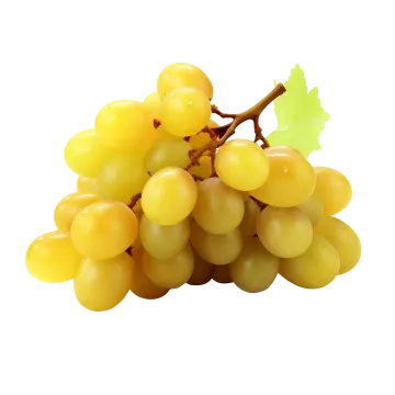 a bunch of yellow grapes on a white background