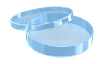 a pair of blue plastic trays