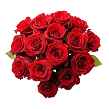 a bouquet of red roses on a white background