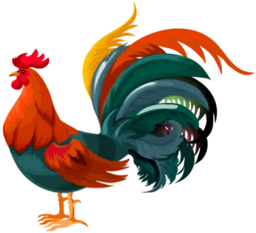 a rooster with red and yellow feathers