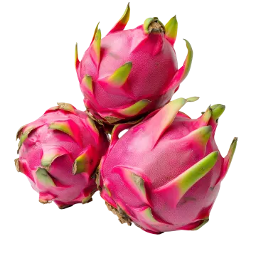 dragon fruit on a white background