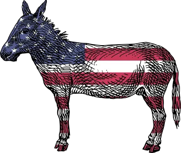 a horse with the american flag painted on it