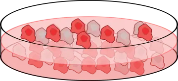 an illustration of a bowl full of blood