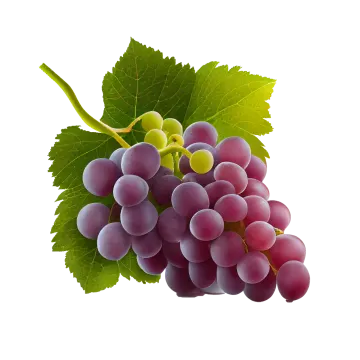 a bunch of grapes on a white background