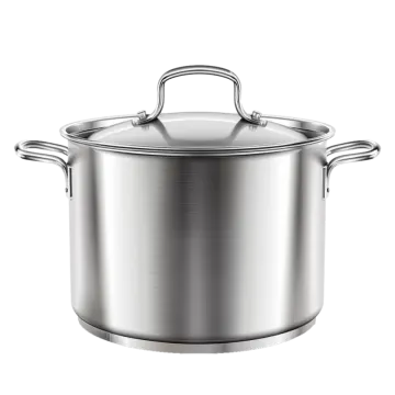 a stainless pot with lid and handles