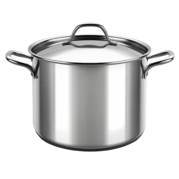 a stainless pot with lid and handles