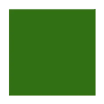 a green square with a white background