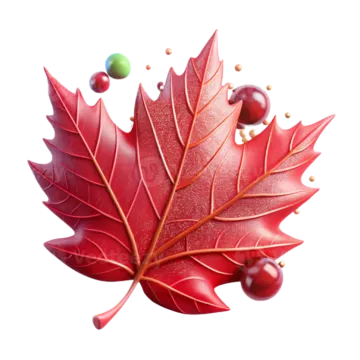 an image of a red maple leaf