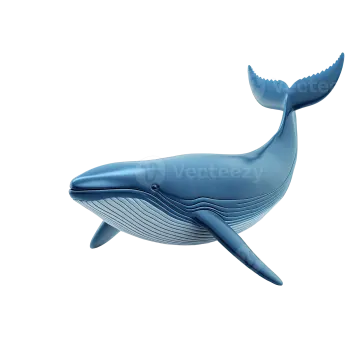 a blue whale on a white background