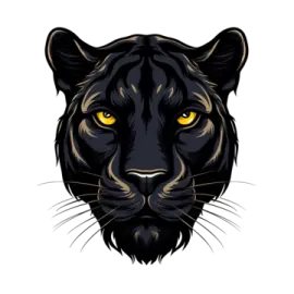 the head of a black panther