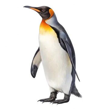 a penguin standing on top of a white surface