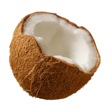 a half of a coconut on a white background