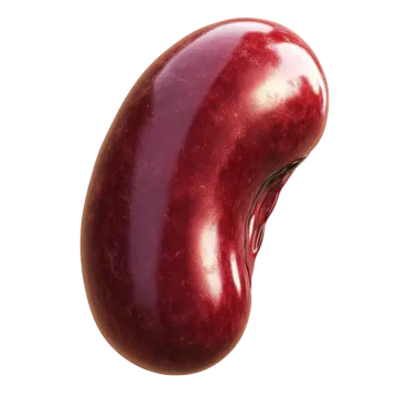 a red egg on a white background