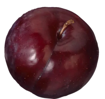 a red apple on a white background