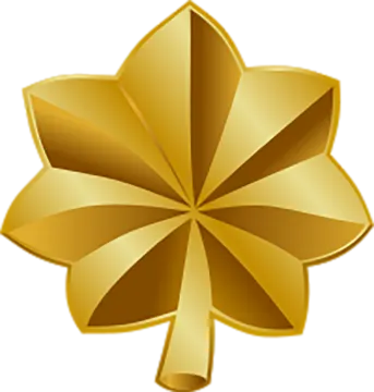 a gold leaf on a white background