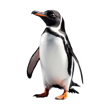 a penguin standing in front of a white background