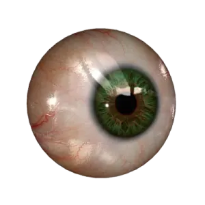 an image of a green eye